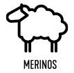 LACROIX SPORTS